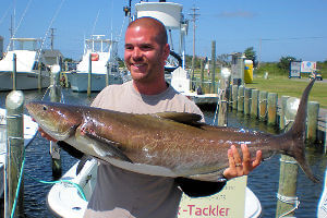 Man holding up large Hatteras Cobia caught on Speck-Tackler.