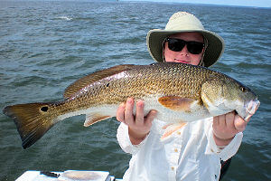 Lady angler holding huge Red Drum she caught at Hatteras Inlet.
