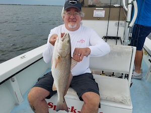 Angler holding up a large puppy drum he just caught on the Pamlico Sound.
