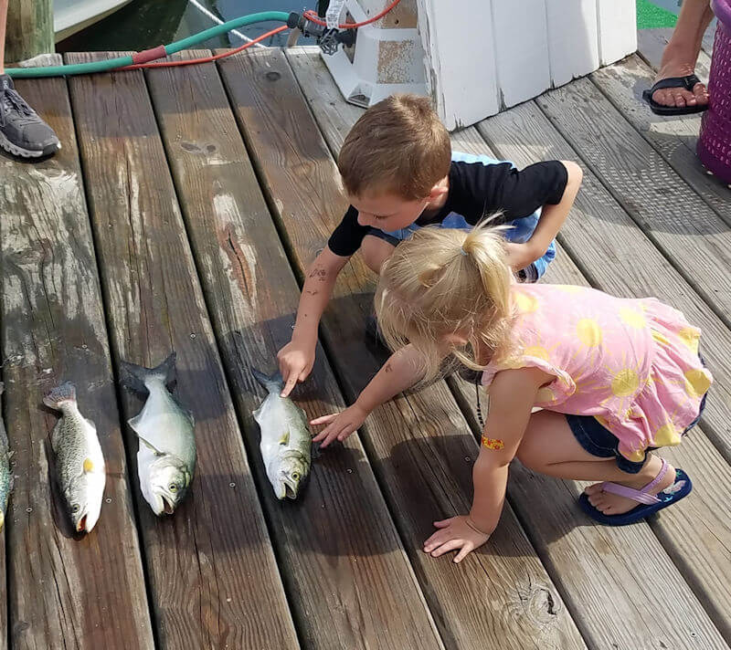 Two children admiring fish laying on the Teach's Lair dock.